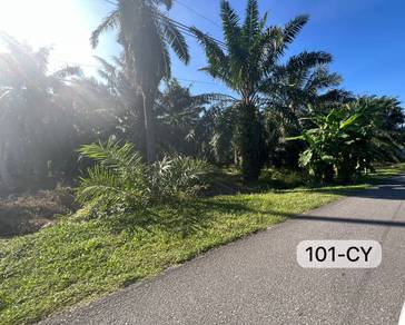 Agricultural-Land-for-sale-Klang-Selangor