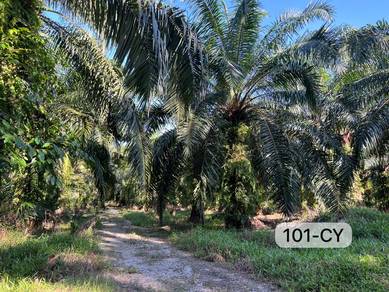 Agricultural-Land-for-sale-Klang-Selangor-2