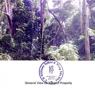 First grade Agricultural land at Teluk kumbar , Penang