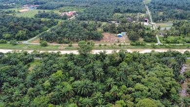 Agricultural-Land-for-sale-Sepang-Selangor