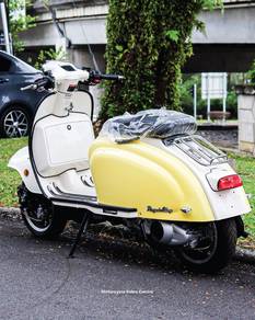2022 | ROYAL ALLOY TG250 | Limited Offer