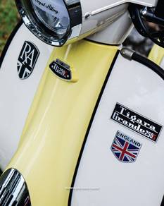2022 | ROYAL ALLOY TG250 | Limited Offer