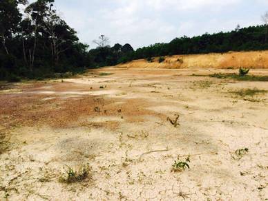 Freehold Agriculture Land Bukit Katil For Sale