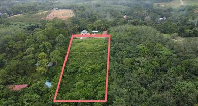 MURAH Tanah Pertanian Brisu Alor Gajah Melaka