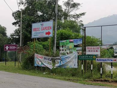 Agricultural-Land-for-rent-Bentong-Pahang