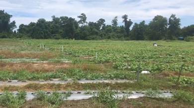 Residential-Land-for-sale-Papar-Sabah