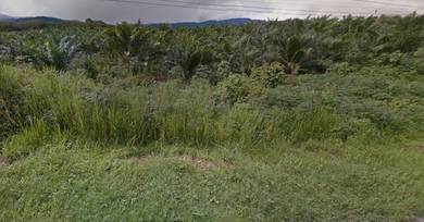Tenom Palm Oil land