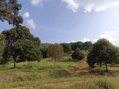 Agricultural-Land-for-sale-Bentong-Pahang
