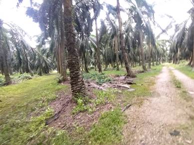 Bukit Changgang Land , 1 Acre