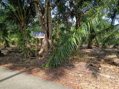 Agricultural-Land-for-sale-Sabak-Bernam-Selangor