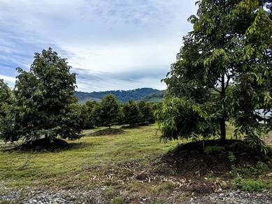 Agricultural-Land-for-sale-Kuala-Pilah-Negeri-Sembilan