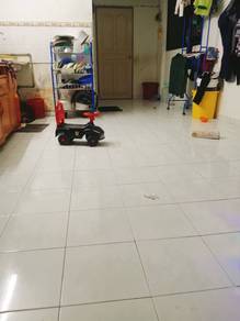 Taman Alor Vista Flat (Relau)