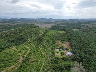 Agricultural-Land-for-sale-Kuala-Ketil-Kedah
