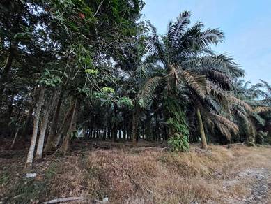 Rimba Terjun Pontian Utama 4 Acre Agricultural Land Rm7 psf
