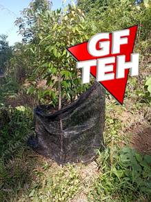 Agricultural-Land-for-sale-Pengkalan-Hulu-Perak