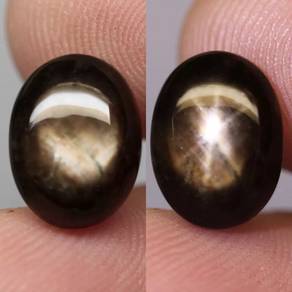 permata star black sapphire 8.8ct