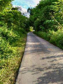 Agricultural-Land-for-sale-Padang-Terap-Kedah
