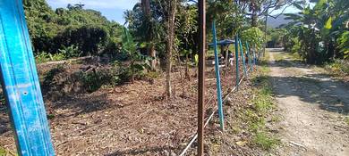 Mixed-Development-Land-for-sale-Balik-Pulau-Penang