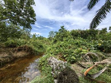 Agricultural-Land-for-sale-Mersing-Johor-1