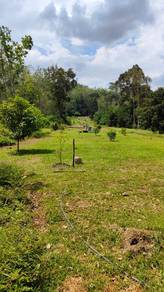 Agricultural-Land-for-sale-Batang-Kali-Selangor