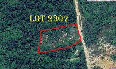 Agricultural-Land-for-sale-Selising-Kelantan