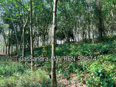 4.32acres Cheap Agriculture Land at Melaka Alor Gajah Machap For Sale