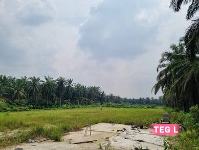Agricultural-Land-for-sale-Kapar-Selangor