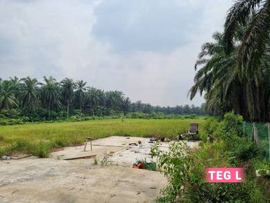 Agricultural-Land-for-sale-Kapar-Selangor-2
