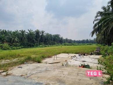 Agricultural-Land-for-sale-Kapar-Selangor-3