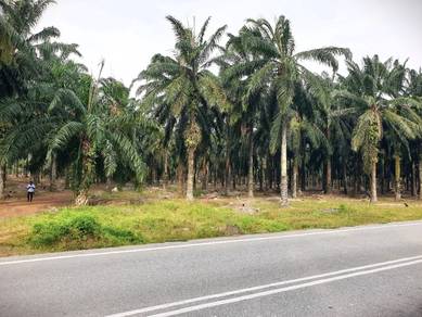Agricultural-Land-for-sale-Sungai-Siput-Perak