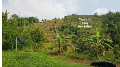 Agricultural-Land-for-sale-Kuala-Pilah-Negeri-Sembilan