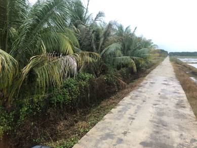 Agricultural-Land-for-sale-Besut-Terengganu