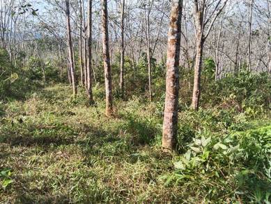 Agricultural-Land-for-sale-Jelebu-Negeri-Sembilan