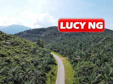 86.68 acres | Agricultural Land | Beside Main Road | Tawar | Baling