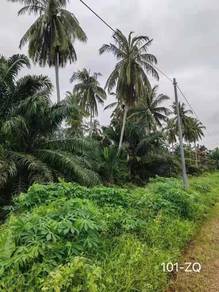 Agricultural-Land-for-sale-Kapar-Selangor