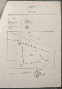 Agricultural-Land-for-sale-Lanchang-Pahang