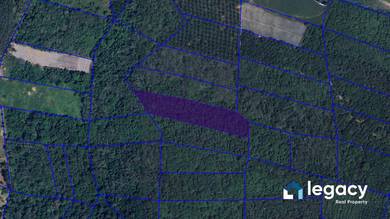 Agricultural-Land-for-sale-Lenggong-Perak