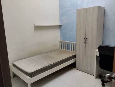 Male single room shah alam sec22 Avenue crest 7-11,mamak,kedai dobi
