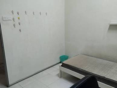 Male single room shah alam sec22 Avenue crest 7-11,mamak,kedai dobi