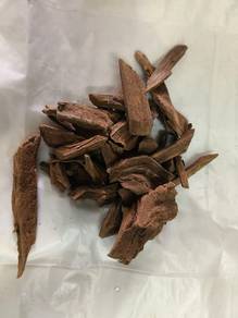 minyak gaharu buaya