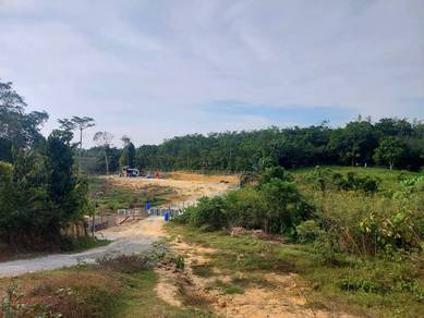 Agricultural-Land-for-sale-Lanchang-Pahang