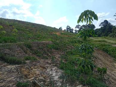 Agricultural-Land-for-sale-Raub-Pahang