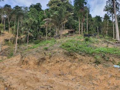 Tanah Freehold. Sesuai dimajukan. Templer Park. Harga BAWAH MARKET!!
