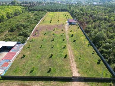 Agricultural-Land-for-sale-Bedong-Kedah