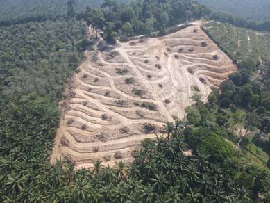 2 LOT 5.5 Ekar Tanah Pertanian Kg Sungai Timun Rembau Negeri Sembilan