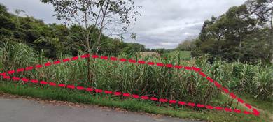 Agricultural-Land-for-sale-Slim-River-Perak