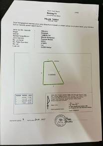 Agricultural-Land-for-sale-Lanchang-Pahang