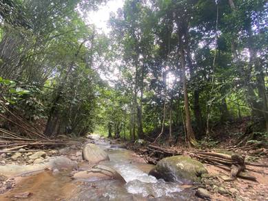 Agricultural-Land-for-sale-Hulu-Langat-Selangor