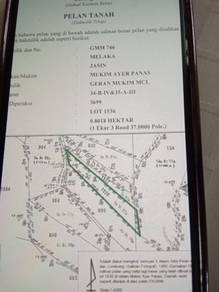 Tanah kebun durian tehel 2ekar