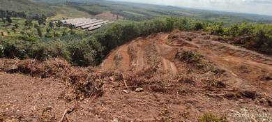 2.5 Ekar Tanah Kosong Kg Sengkang Legeh Jementah Segamat Johor